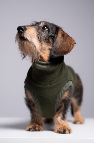 Ściągacz przy udzie khaki polarowej bluzy dla jamnika – zbliżenie