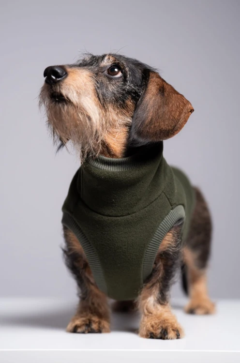 Ściągacz przy udzie khaki polarowej bluzy dla jamnika – zbliżenie