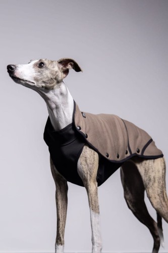 Whippet w bluzie cappuccino z wodoodpornym spodem, widok z boku