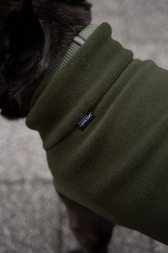 Wysoki kołnierz khaki polarowej bluzy dla buldoga – zbliżenie na kark