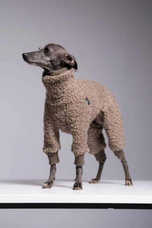 Charcik włoski w beżowym kombinezonie z 75% wełny baranek, wysoki kołnierz