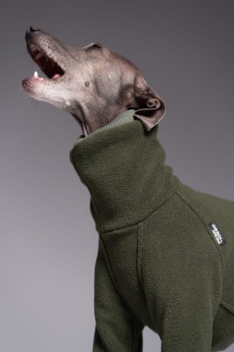 Portret charcika włoskiego w khaki kombinezonie Polar Pro z pyskiem otwartym w ziewnięciu
