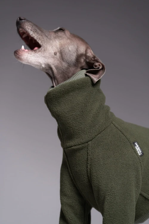 Portret charcika włoskiego w khaki kombinezonie Polar Pro z pyskiem otwartym w ziewnięciu