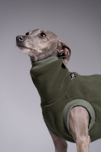 Wysoki kołnierz khaki bluzy polarowej Polar Pro dla charcika włoskiego – zbliżenie na szyję