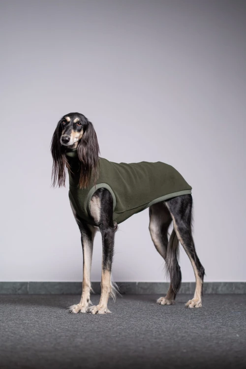 Khaki bluza polarowa Polar Pro dla dużego charta – pies stojący przodem, ujęcie pod kątem