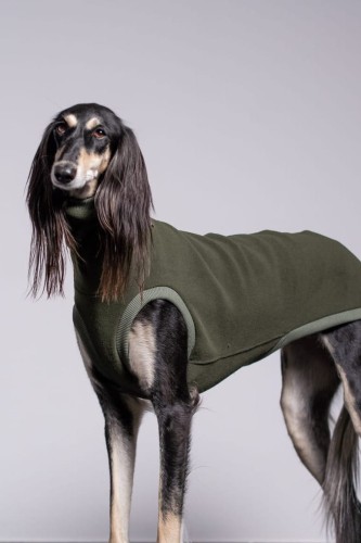 Khaki bluza polarowa Polar Pro dla dużego charta – pies stojący przodem, długa sierść na łapach