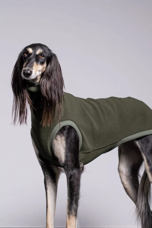 Khaki bluza polarowa Polar Pro dla dużego charta – pies stojący przodem, długa sierść na łapach