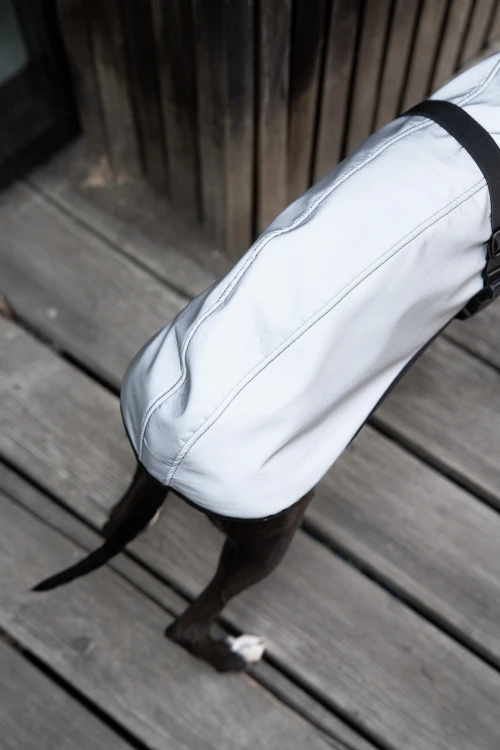 Zbliżenie na fakturę i szwy białej odblaskowej kurtki softshell dla whippeta