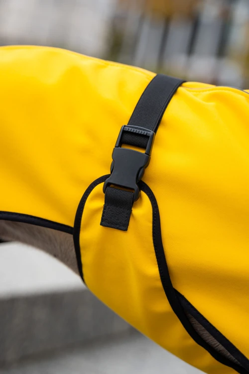 Regulowane zapięcie na klamrę przy żółtej kurtce softshell dla whippeta