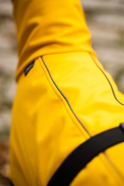 Odblaskowa lamówka na żółtej kurtce softshell dla whippeta – zbliżenie