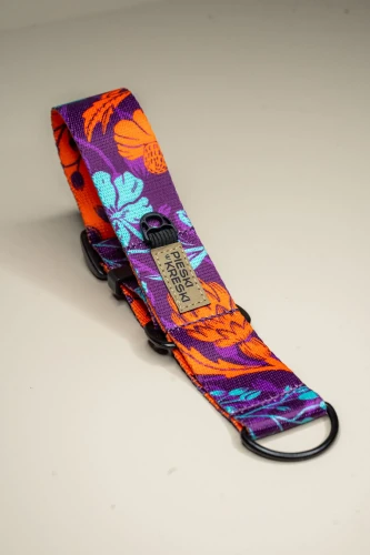 obroza-dla-charta-polzaciskowa-fluo-flower-01 2.webp